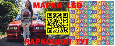 apvp Кингисепп