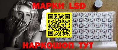 apvp Кингисепп