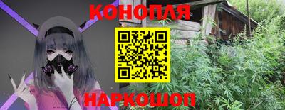 apvp Кингисепп