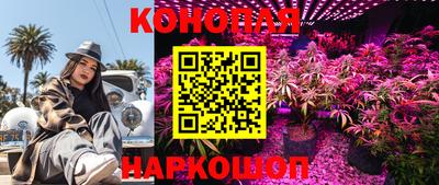 apvp Кинель
