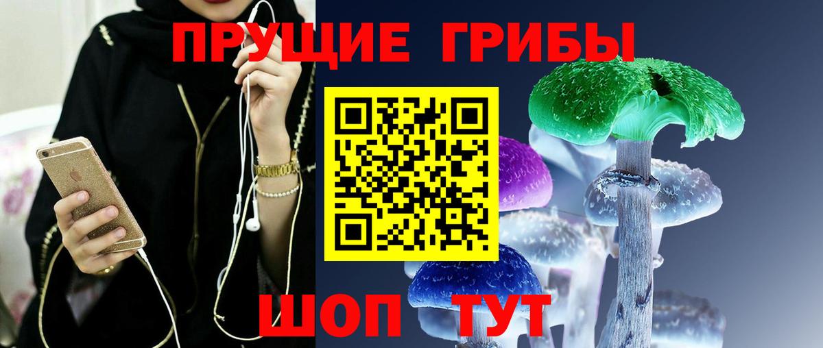 Галлюциногенные грибы MAGIC MUSHROOMS  Вход с VPN  Коммунар  Псилоцибиновые грибы GOLDEN TEACHER 