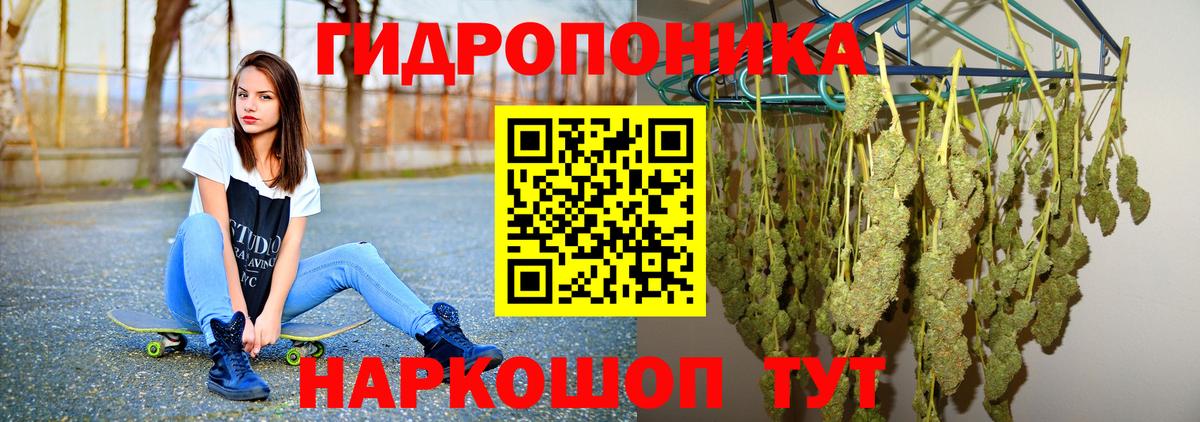 Бошки марихуана гибрид Коммунар